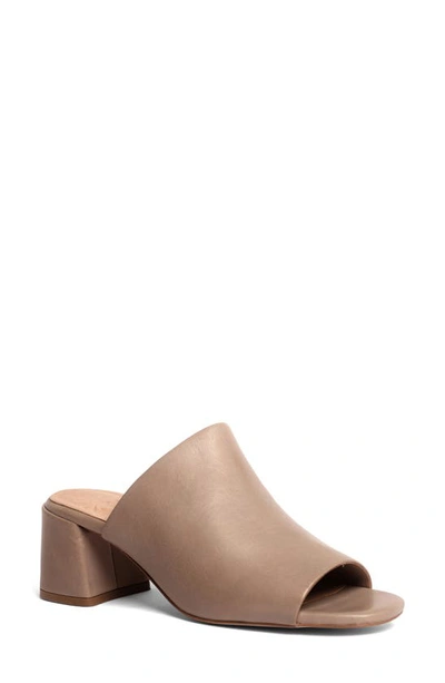 Shop Anthony Veer Lotte Clog Sandal In Taupe