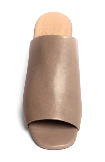 Anthony Veer Lotte Clog Sandal In Taupe