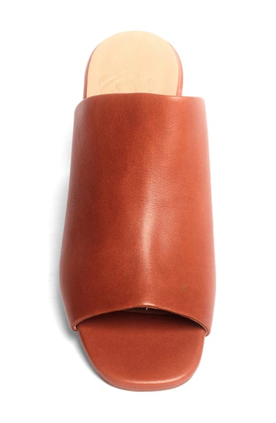 Anthony Veer Lotte Clog Sandal In Exuberance