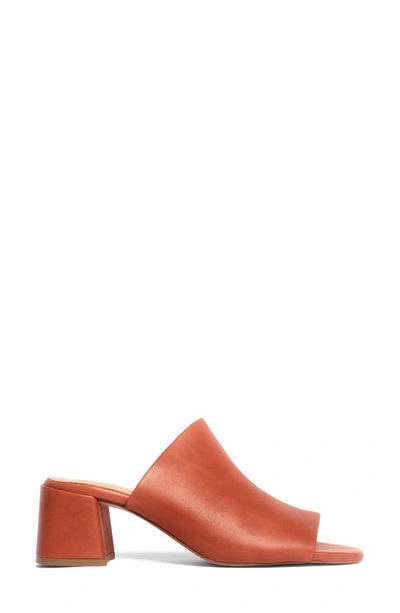 Anthony Veer Lotte Clog Sandal In Exuberance