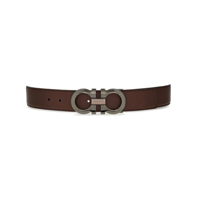 Shop Ferragamo Salvatore  Belts In Brown/black