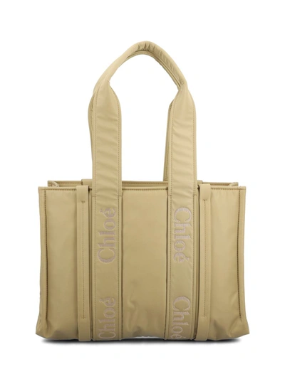 Shop Chloé Handbags In Hot Sand