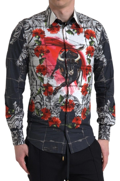 Shop Dolce & Gabbana Multicolor Floral Bull Print Collared Shirt