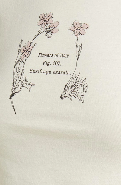 Golden Hour Flowers Of Italy Cotton Graphic T-shirt In Washed Marshmallow