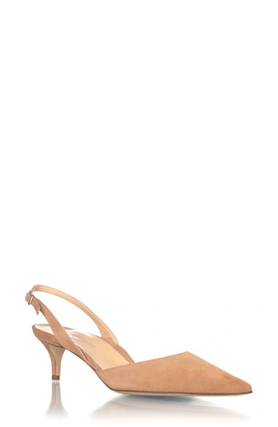 Shop Marion Parke Classic Slingback Pointed Toe Pump In Caramel