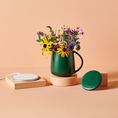 Shop Tease Smart Heated Mug Kit 2.0 In Green