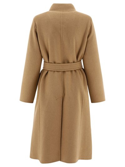 Max Mara Camel Cashmere Artur Coat In Brown
