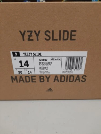 Pre-owned Adidas Originals 2022 Adidas Yeezy Slides Bone Size 14 In White