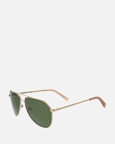Allure Eyewear Women's Carmel Polarized Sunglasses In Gold