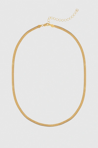 Shop Anine Bing Ribbon Coil Necklace In Gold In 14k Yellow Gold