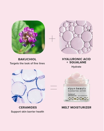 Shop Alpyn Beauty Plantgenius Melt Moisturizer