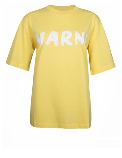 Shop Marni Cotton T-shirt In Yellow