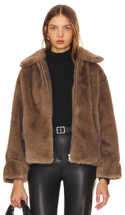Heartloom Sari Coat In Mink