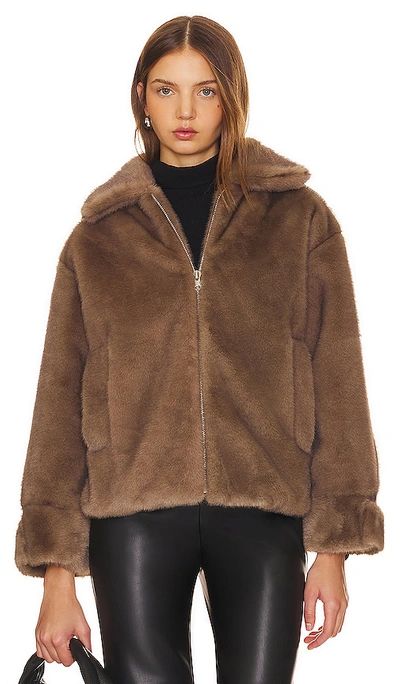 Heartloom Sari Coat In Mink