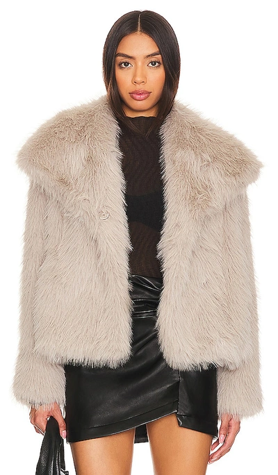 Shop Astr Lynx Faux Fur Coat In Silver