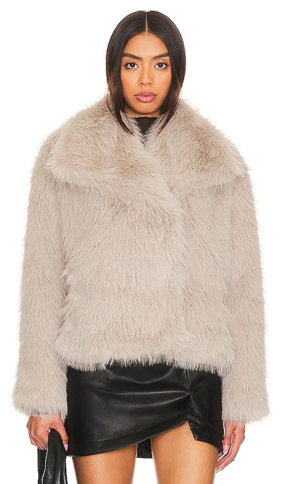 Shop Astr Lynx Faux Fur Coat In Silver