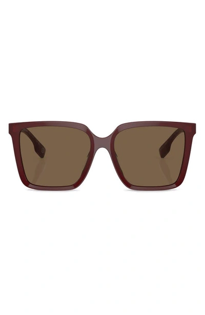 Shop Burberry 57mm Square Sunglasses In Bordeaux