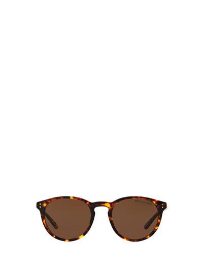 Shop Polo Ralph Lauren Ph4110 Shiny Antique Havana Sunglasses