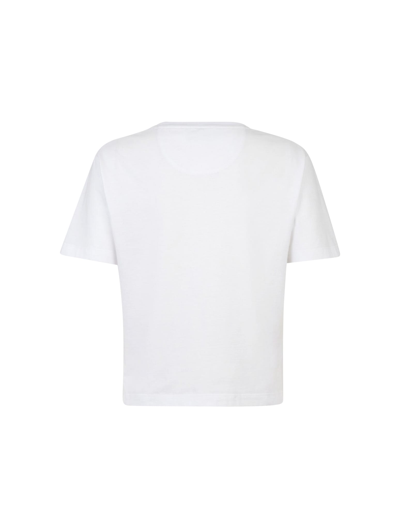 Shop Fendi T Shirt Roma Cot In Znm White
