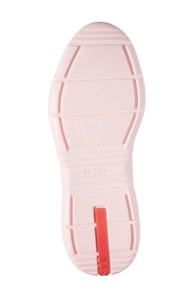 Shop Prada America's Cup Sneaker In Alabaster Pink/ Grey