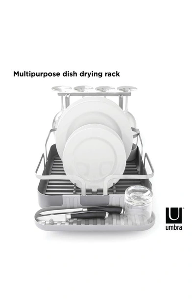 Shop Umbra Holster Dish Drying Rack In Charcoal