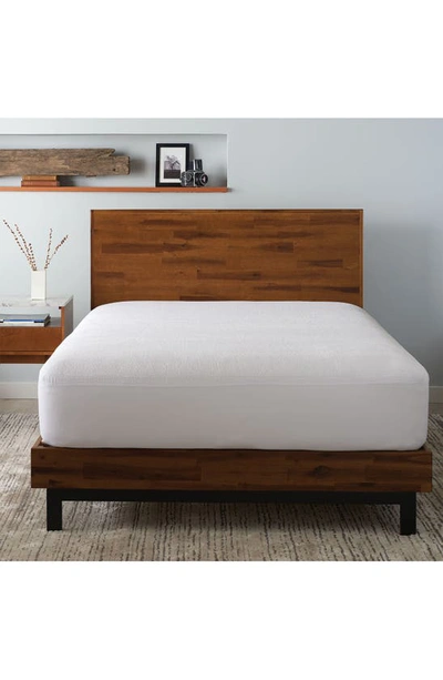 Ella Jayne Home Cotton Terry Cloth Waterproof Mattress In White