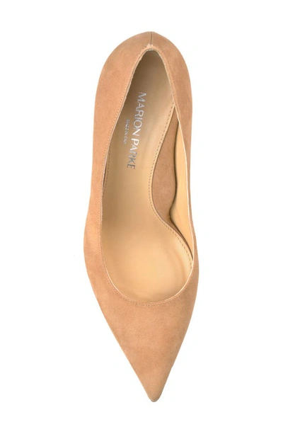 Shop Marion Parke Classic Pointed Toe Pump In Caramel