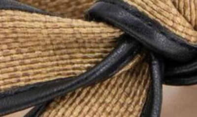 Shop Bcbgeneration Bcbg Orlie Ankle Strap Sandal In Dark Natural-black