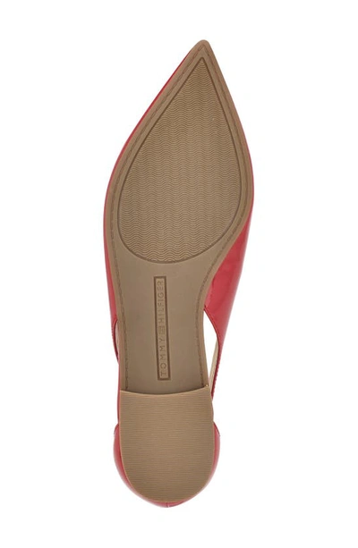 Tommy Hilfiger Velahi Pointed Toe Flat In Medium Red