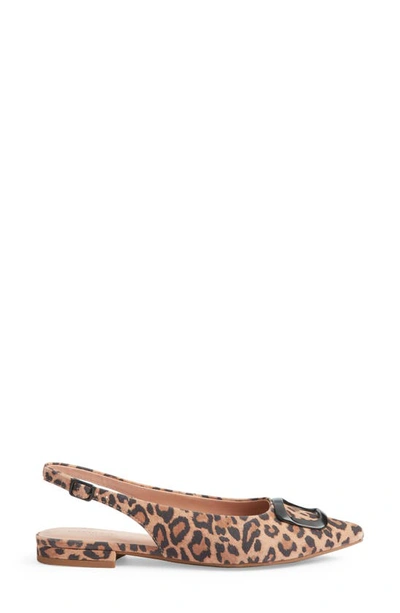 Shop Nordstrom Becca Pointed Toe Slingback Flat In Tan Leopard