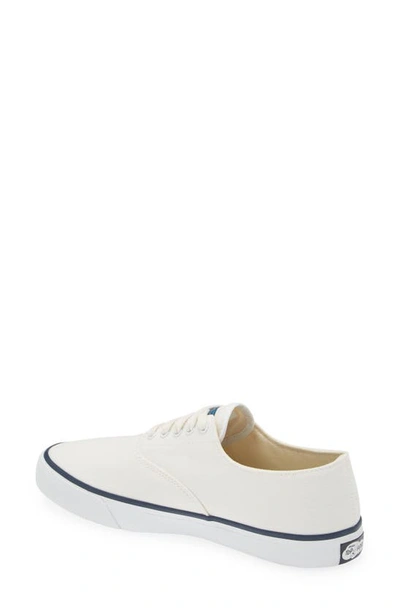 Shop Sperry 'cloud Cvo' Sneaker In White