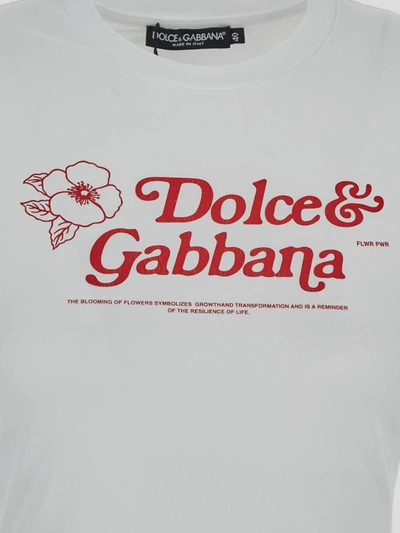 Shop Dolce & Gabbana Dolce&gabbana T-shirt In Biancoottico
