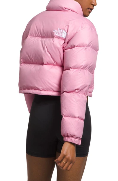 Shop The North Face Nuptse Water Repellent 700 Fill Power Down Short Puffer Jacket In Orchid Pink