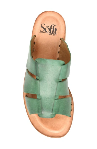 Shop Söfft Almeda Strappy Sandal In Cactus
