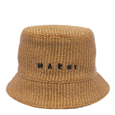 Shop Marni Hats In Brown