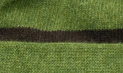 Portolano Stripe Cuff Beanie In Fern/ Dark Brown