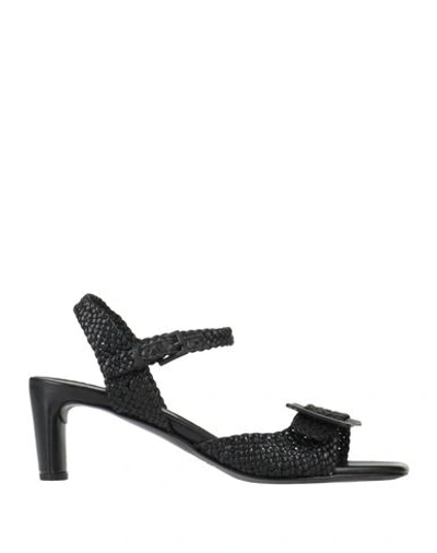 Shop Del Carlo Woman Sandals Black Size 8 Leather