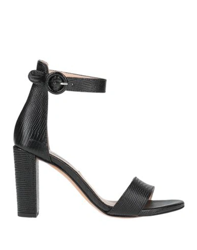 Shop L'amour By Albano Woman Sandals Black Size 6 Textile Fibers