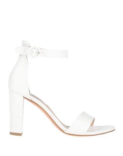 Shop L'amour By Albano Woman Sandals White Size 10 Textile Fibers