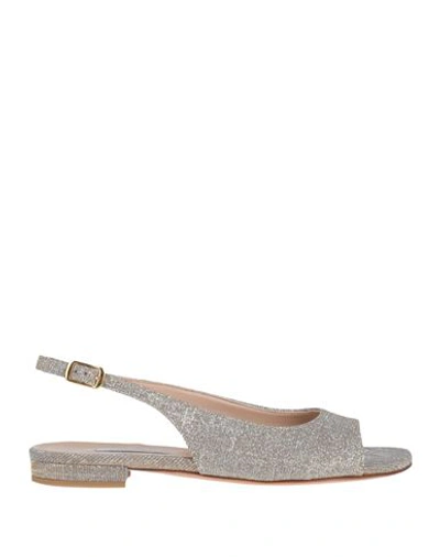 Shop L'amour By Albano Woman Sandals Silver Size 7 Textile Fibers