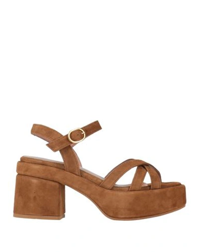 Shop Annaëlle Woman Sandals Brown Size 8 Leather