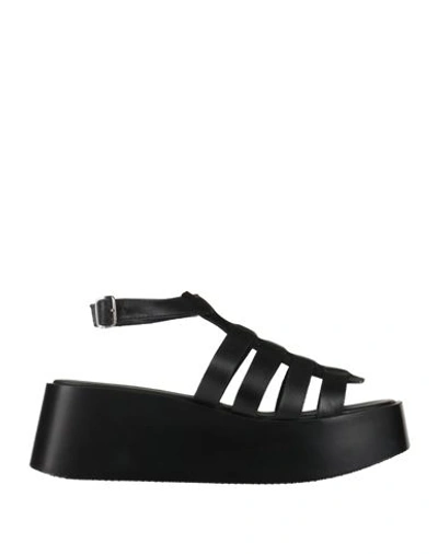 Shop Le Bohémien Woman Sandals Black Size 8 Calfskin