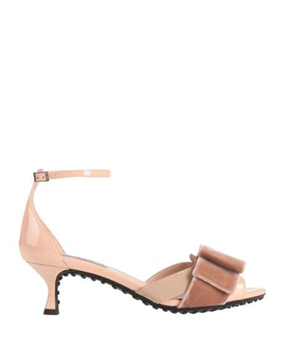 Shop Alessandro Dell'acqua X Tod's Woman Sandals Blush Size 8 Leather, Textile Fibers In Pink