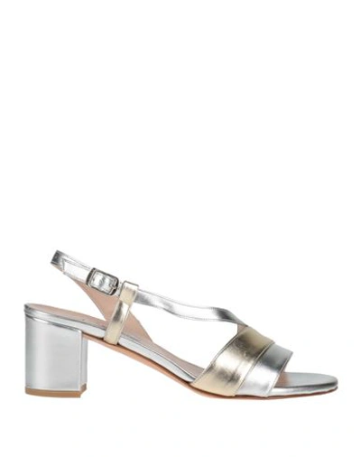 Shop L'amour By Albano Woman Sandals Silver Size 6 Textile Fibers