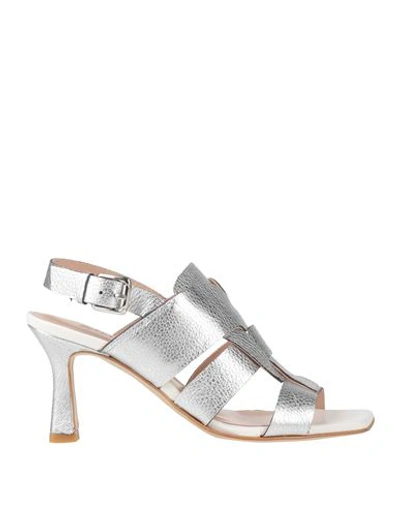 Shop Zinda Woman Sandals Silver Size 8 Leather