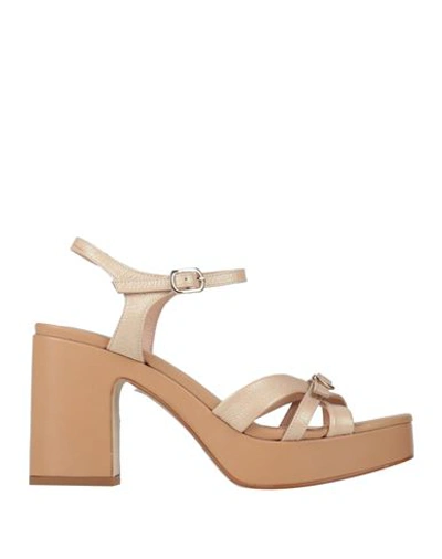Shop Zinda Woman Sandals Sand Size 8 Leather In Beige