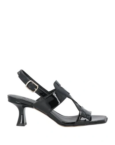 Shop Zinda Woman Sandals Black Size 5 Leather
