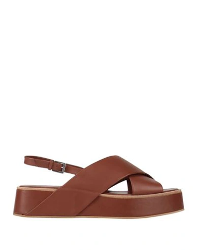 Shop Del Carlo Woman Sandals Tan Size 10 Leather In Brown