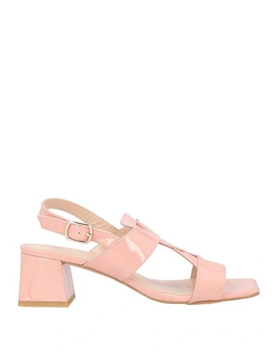 Shop Zinda Woman Sandals Pink Size 8 Leather