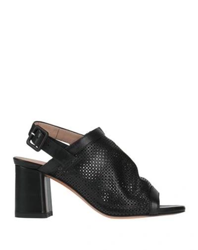 Shop Albano Woman Sandals Black Size 8 Leather